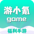 游小氪游戏安卓版