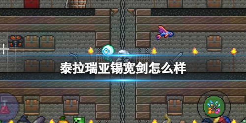 泰拉瑞亚最强武器,泰拉之刃的传奇地位