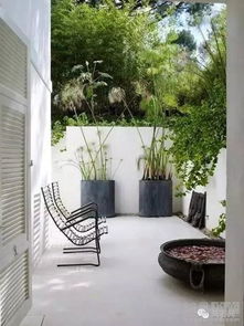 调查走廊深处的庭院,解谜之旅，探索未知