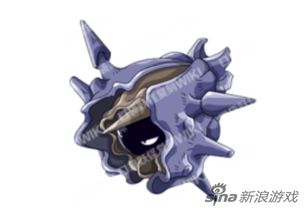 铁甲贝,海洋中的“屠龙者”