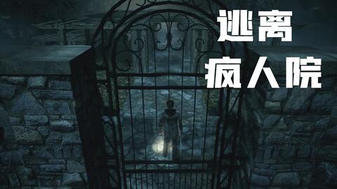 逃出疯人院,逃出疯人院的惊心动魄之旅