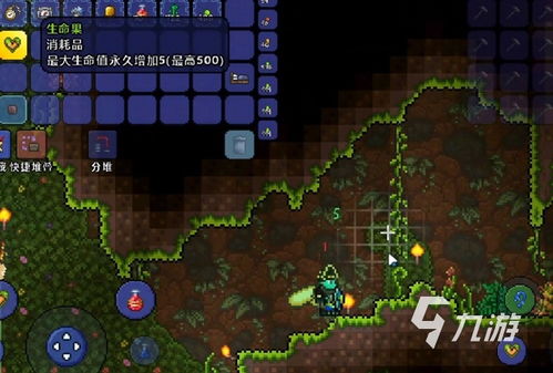 泰拉瑞亚生命果实,泰拉瑞亚生命果实的神秘与功效