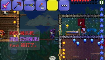 泰拉瑞亚坐骑大全以及怎么获得,泰拉瑞亚坐骑大全