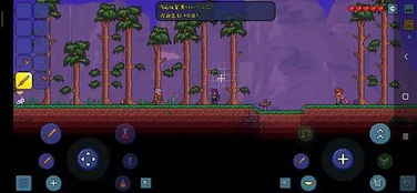 泰拉瑞亚如何联机,轻松实现多人游戏体验