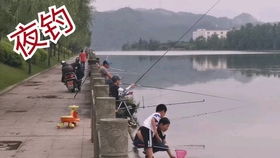 天下钓鱼,探寻钓鱼的乐趣与技巧