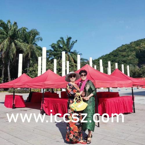 躺平发育正版下载安装,躺平发育正版下载与安装指南