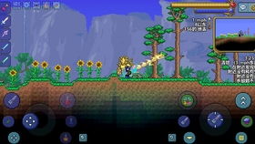 泰拉瑞亚弧光剑,游戏中的神秘之光剑