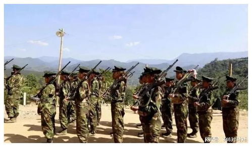 同盟军,捍卫民族权益的战斗历程