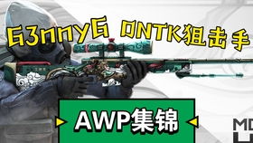 csgom