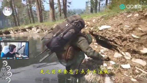 拍屎的游戏,史上最囧游戏背后的趣味与挑战