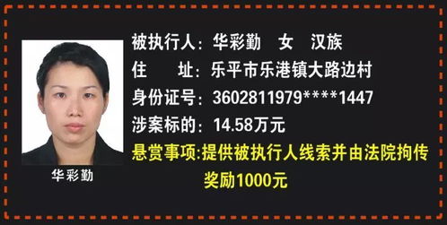 悬赏令,紧急悬赏令发布，寻找失踪人员，重金奖励提供线索