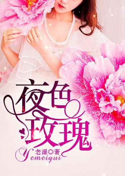 夜色小说,捣鐙傞波嬪畬鏁寸増