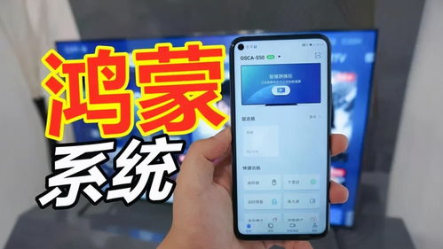 华为鸿蒙比安卓系统好吗,引领未来智能生态的革新之作