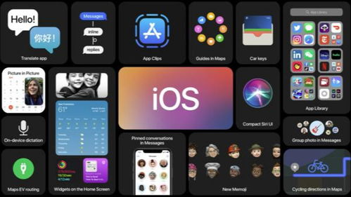 ios和安卓系统开发,iOS与Android系统应用开发对比与融合策略