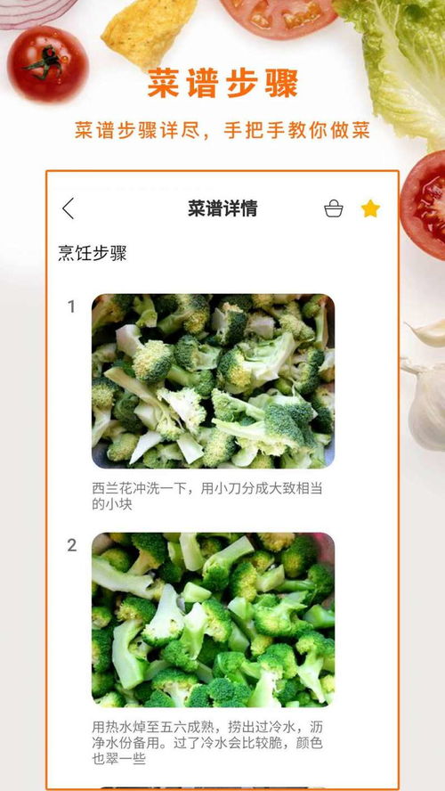 泡菜视频 