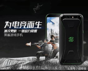 打地鼠游戏机 