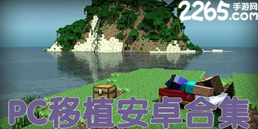 主播女孩重度依赖手机版本移植安卓版 