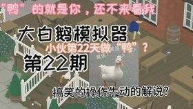 大白鹅游戏戏,从农场捣蛋鬼到游戏界的明星