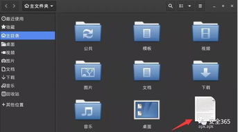 安卓手机容易入侵系统吗,系统安全风险与防范策略
