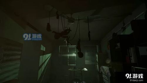 港诡游戏下载,揭秘都市传说背后的恐怖真相