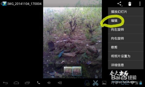 安卓系统怎么变成黑白了,安卓系统照片黑白转换方法全解析