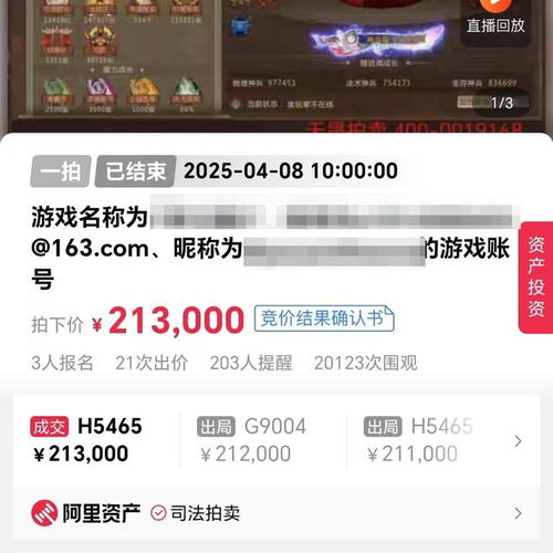 拍卖网游戏,指尖上的财富盛宴
