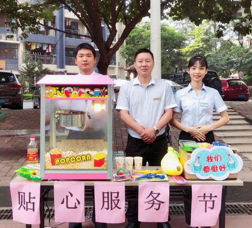 碧桂园小游戏,欢乐无限