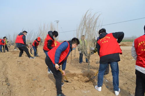 坊子乡游戏,探寻民间智慧与欢乐时光的传承之旅