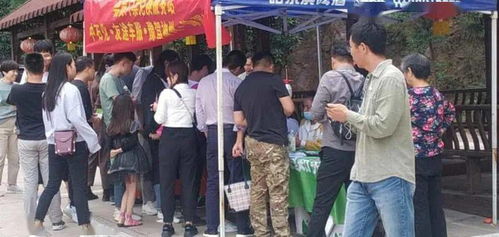 售票口游戏,一场别开生面的游戏之旅