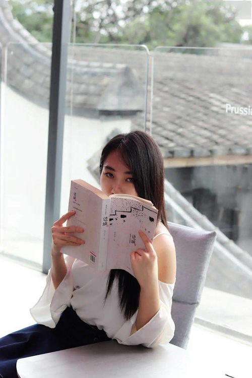 夏苡芯游戏,穿越时空的奇幻冒险之旅