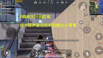 锅锅游戏说,揭秘趣味无穷的互动游戏世界